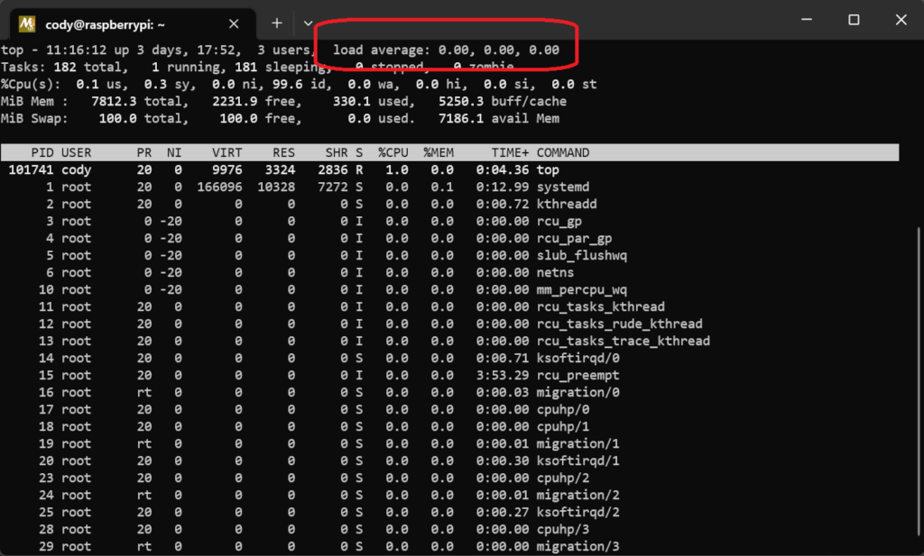 Raspberry Pi CPU usage